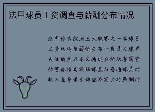 法甲球员工资调查与薪酬分布情况